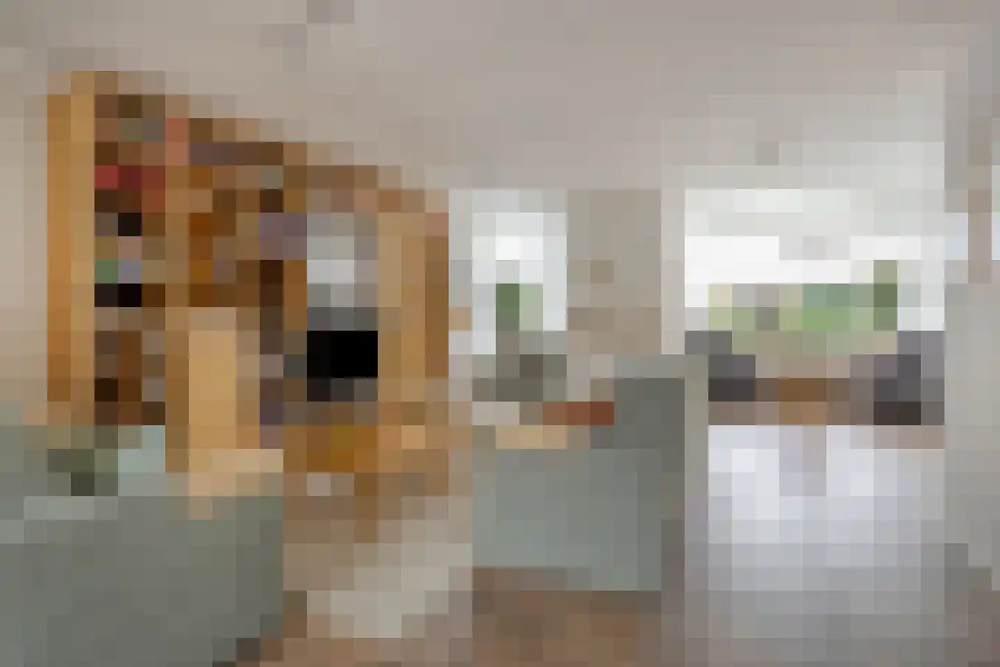 Don Rualaan 4 's-Heerenberg thumbnail 8