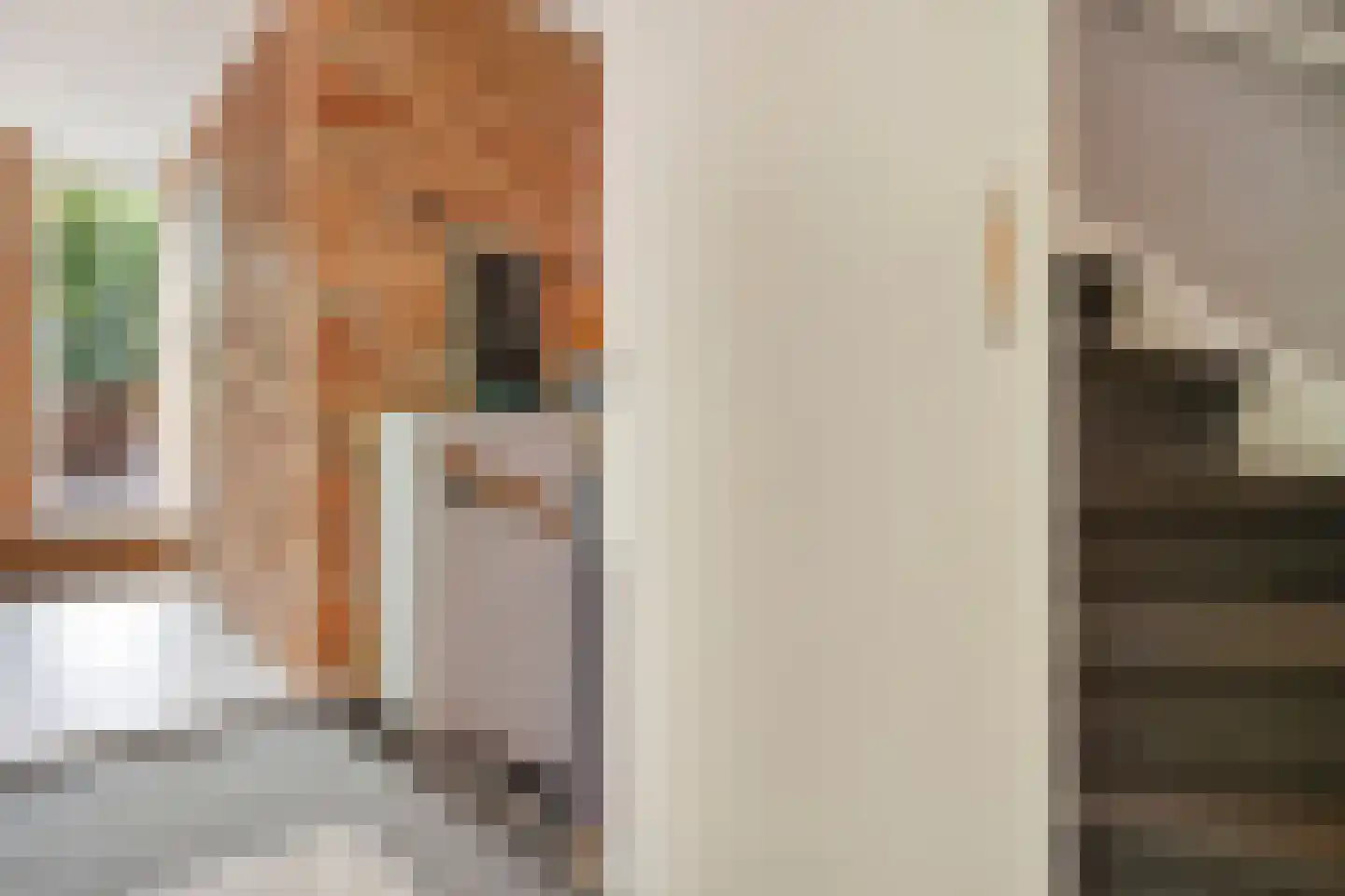 Don Sartostraat 3 Tilburg thumbnail 21