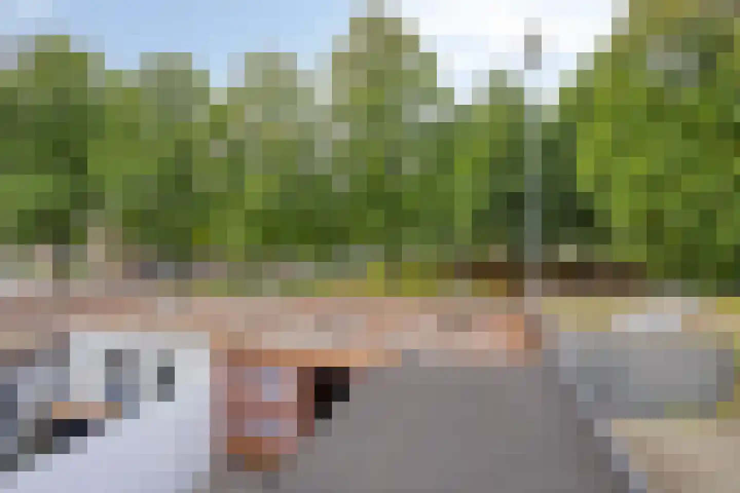 Don Sartostraat 3 Tilburg thumbnail 28