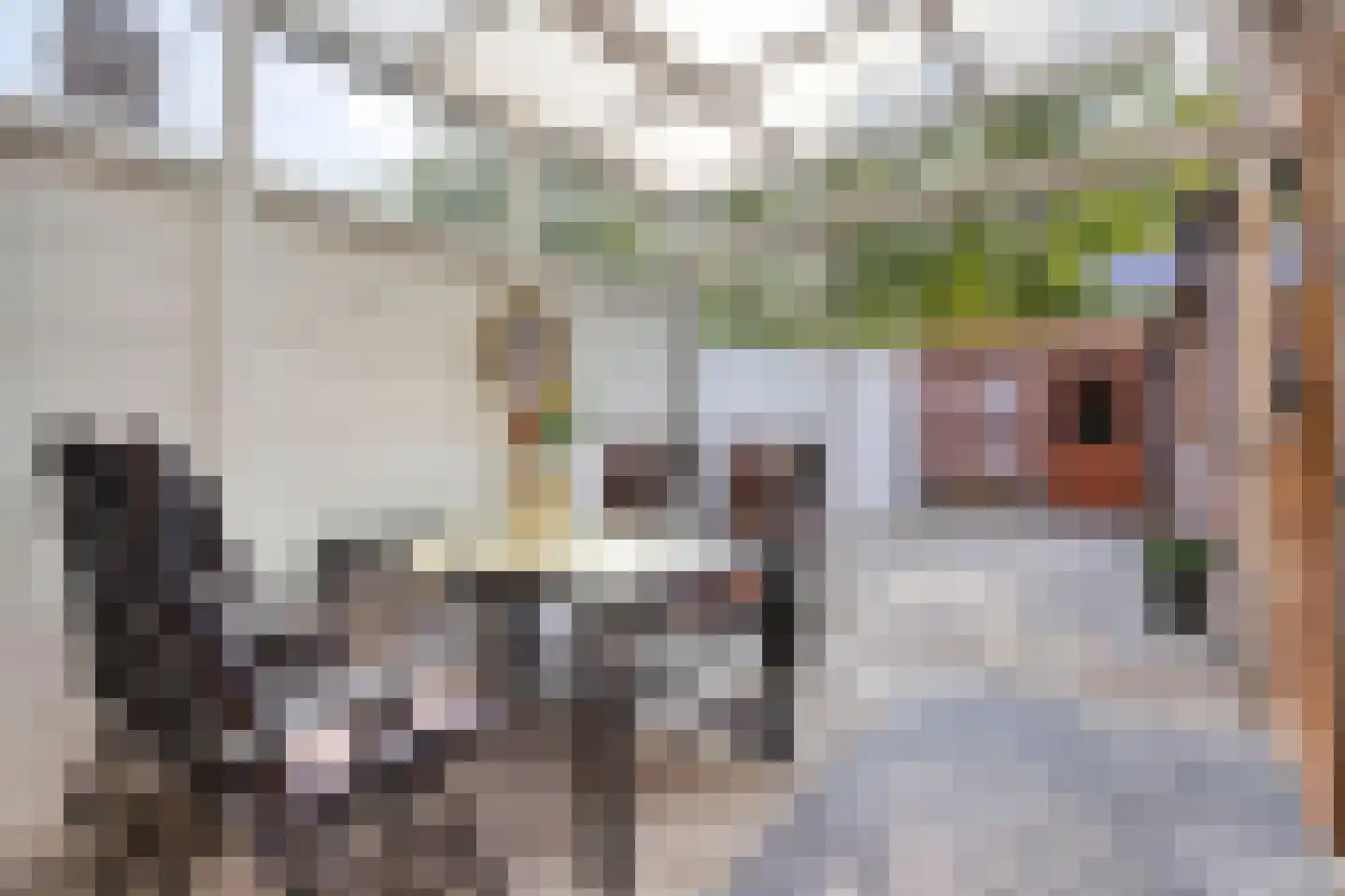 Don Sartostraat 3 Tilburg thumbnail 34
