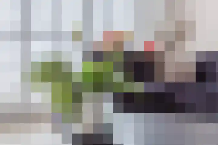 Donald Ducklaan 18 Almere thumbnail 12