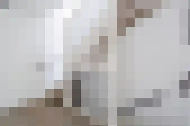 Donald Ducklaan 18 Almere thumbnail 22