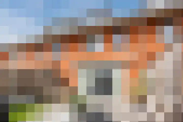 Donald Ducklaan 18 Almere thumbnail 50
