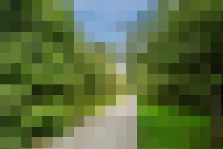 Donald Ducklaan 18 Almere thumbnail 54