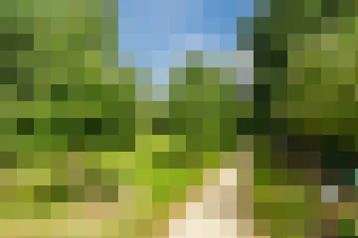 Donald Ducklaan 18 Almere thumbnail 55