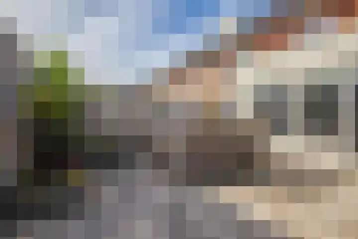 Donar 20 Elst thumbnail 17