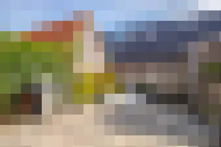 Donar 20 Elst thumbnail 18