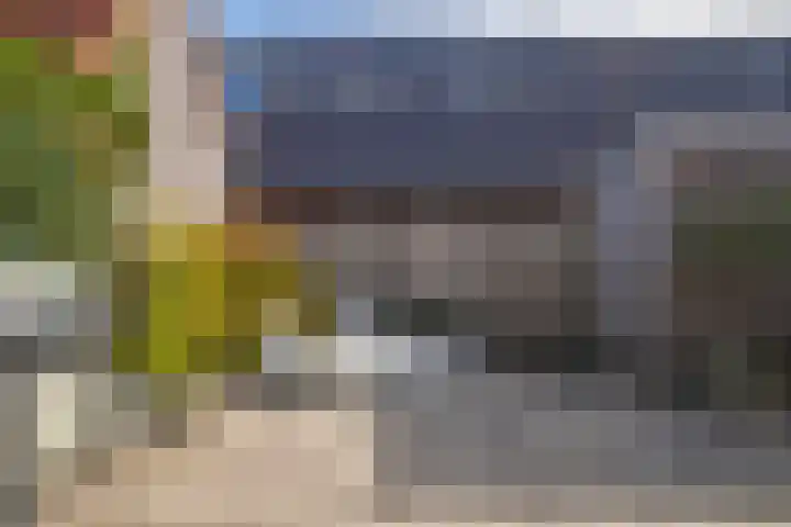 Donar 20 Elst thumbnail 19