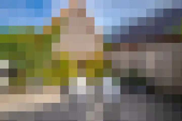 Donar 20 Elst thumbnail 20