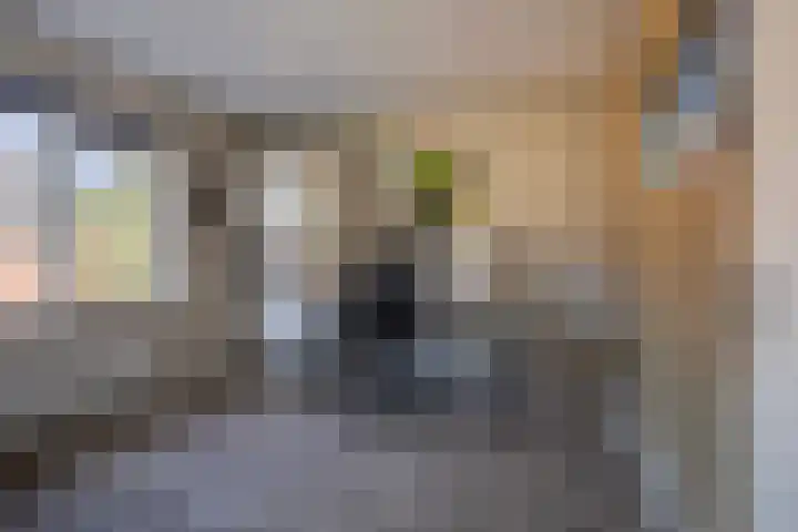 Donar 20 Elst thumbnail 30