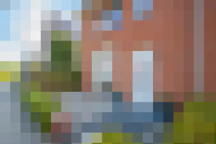 Donar 20 Elst thumbnail 5