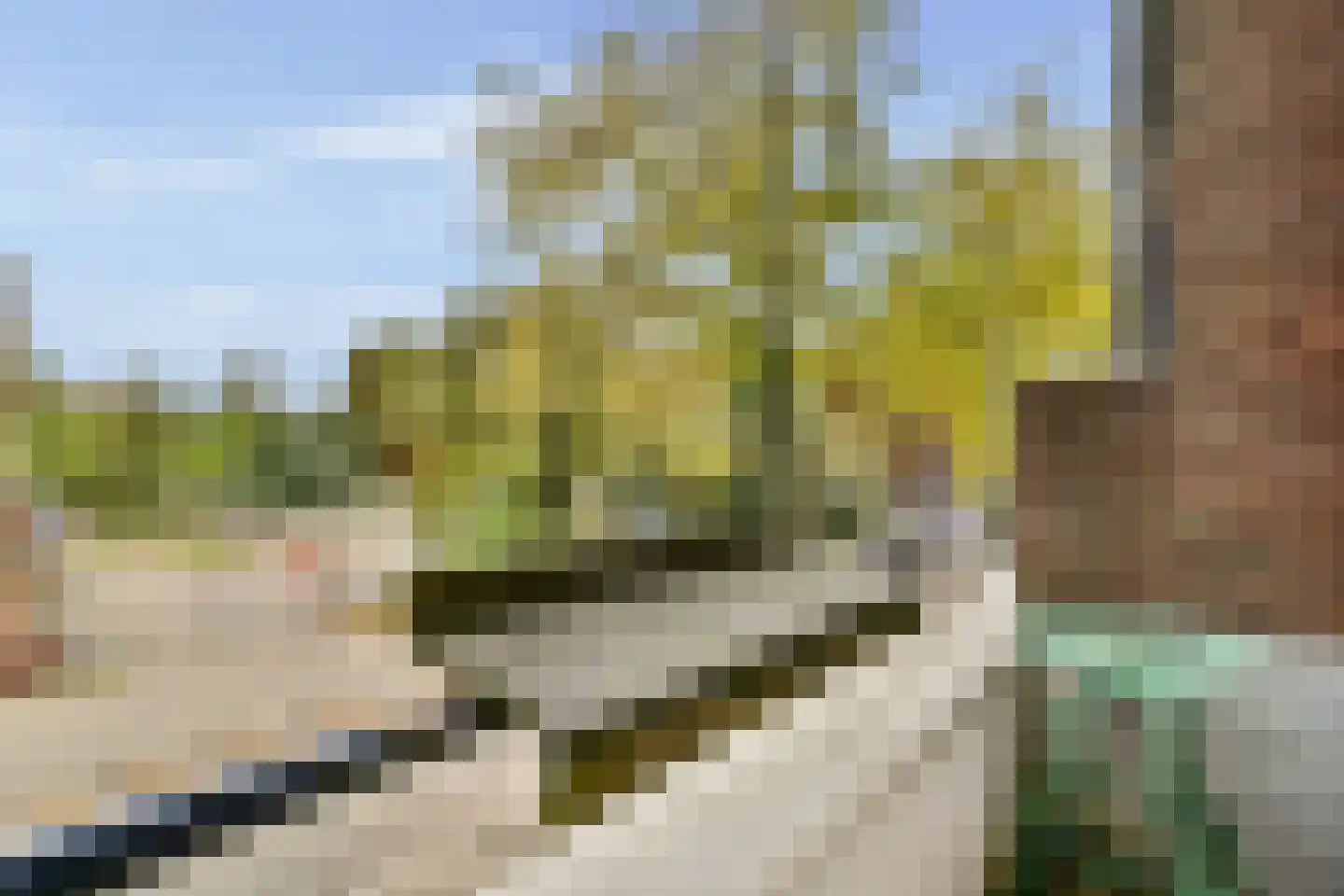 Donarstraat 11 1 Amsterdam thumbnail 10