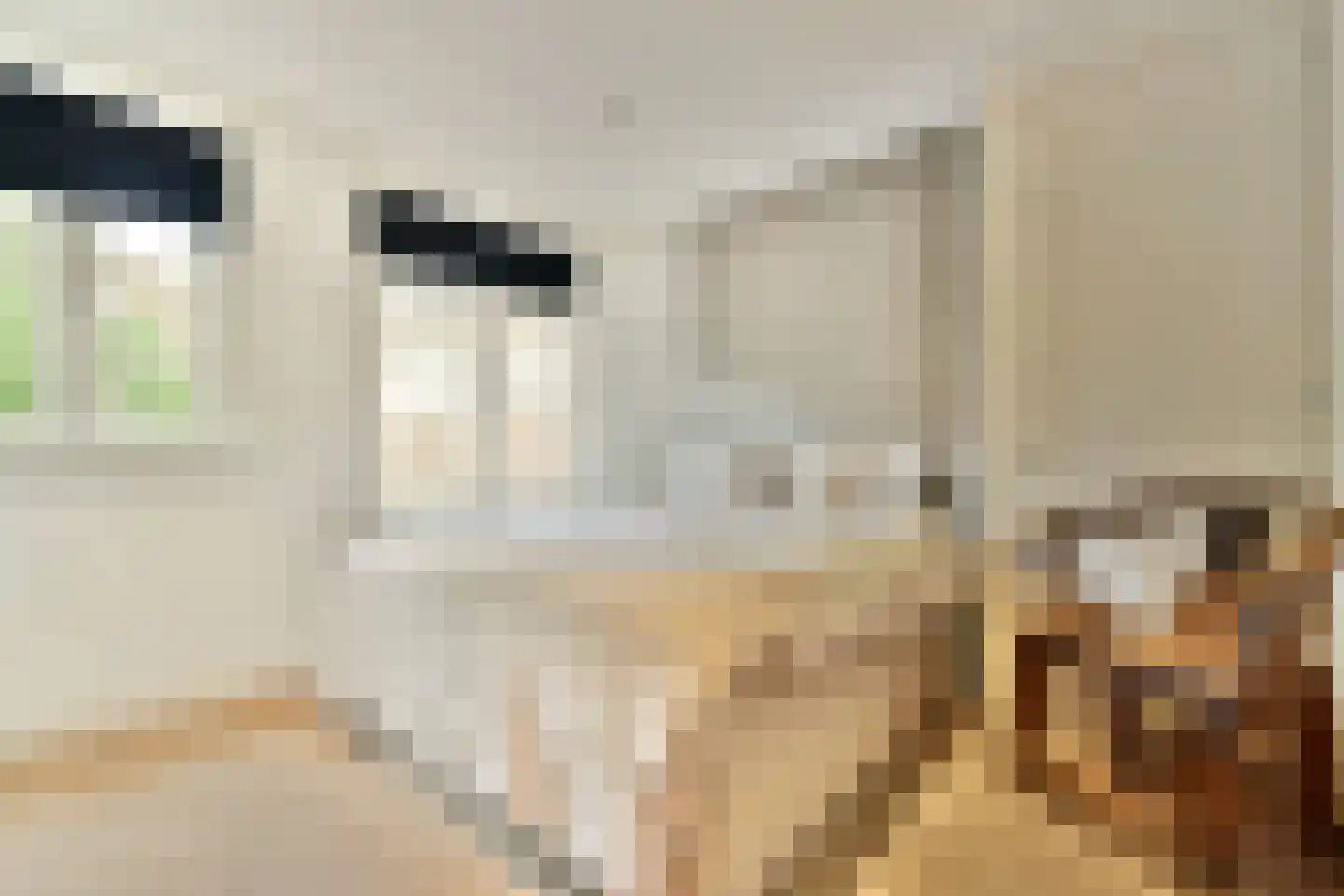 Donarstraat 11 1 Amsterdam thumbnail 11