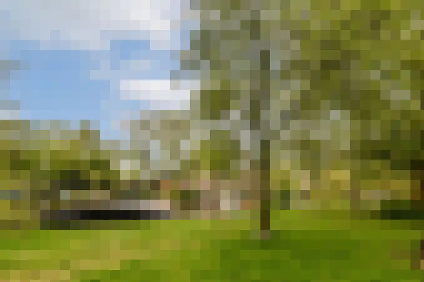 Donarstraat 11 1 Amsterdam thumbnail 21