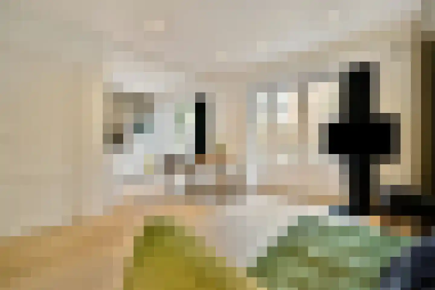 Donarstraat 11 1 Amsterdam thumbnail 4