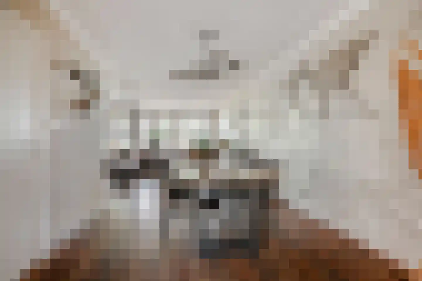 Donata Steurhof 215 Volendam thumbnail 11
