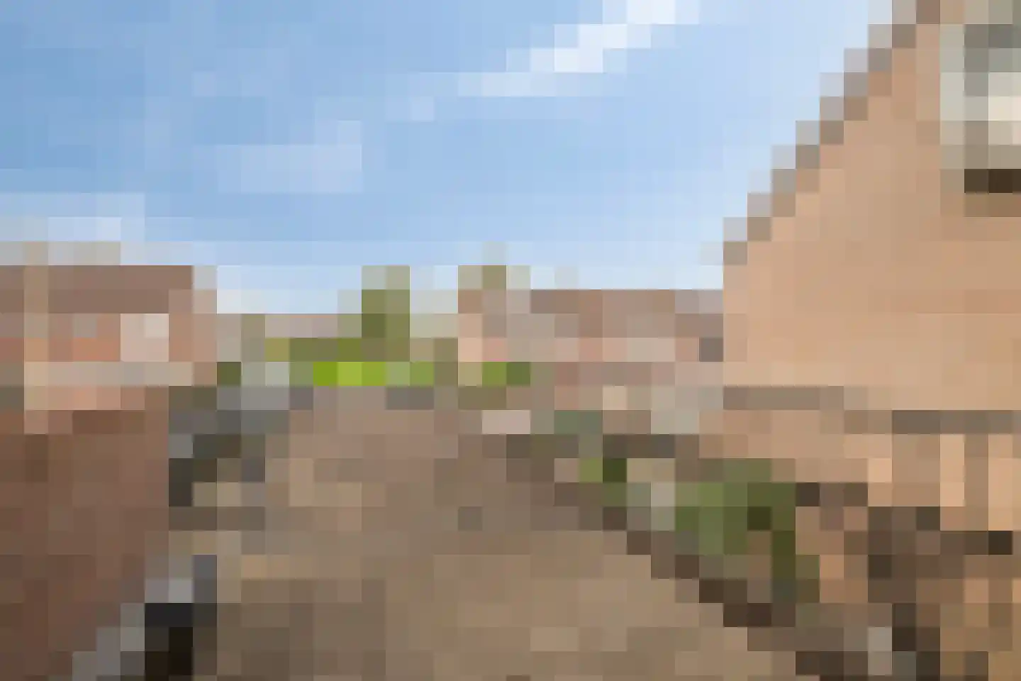 Donata Steurhof 215 Volendam thumbnail 24