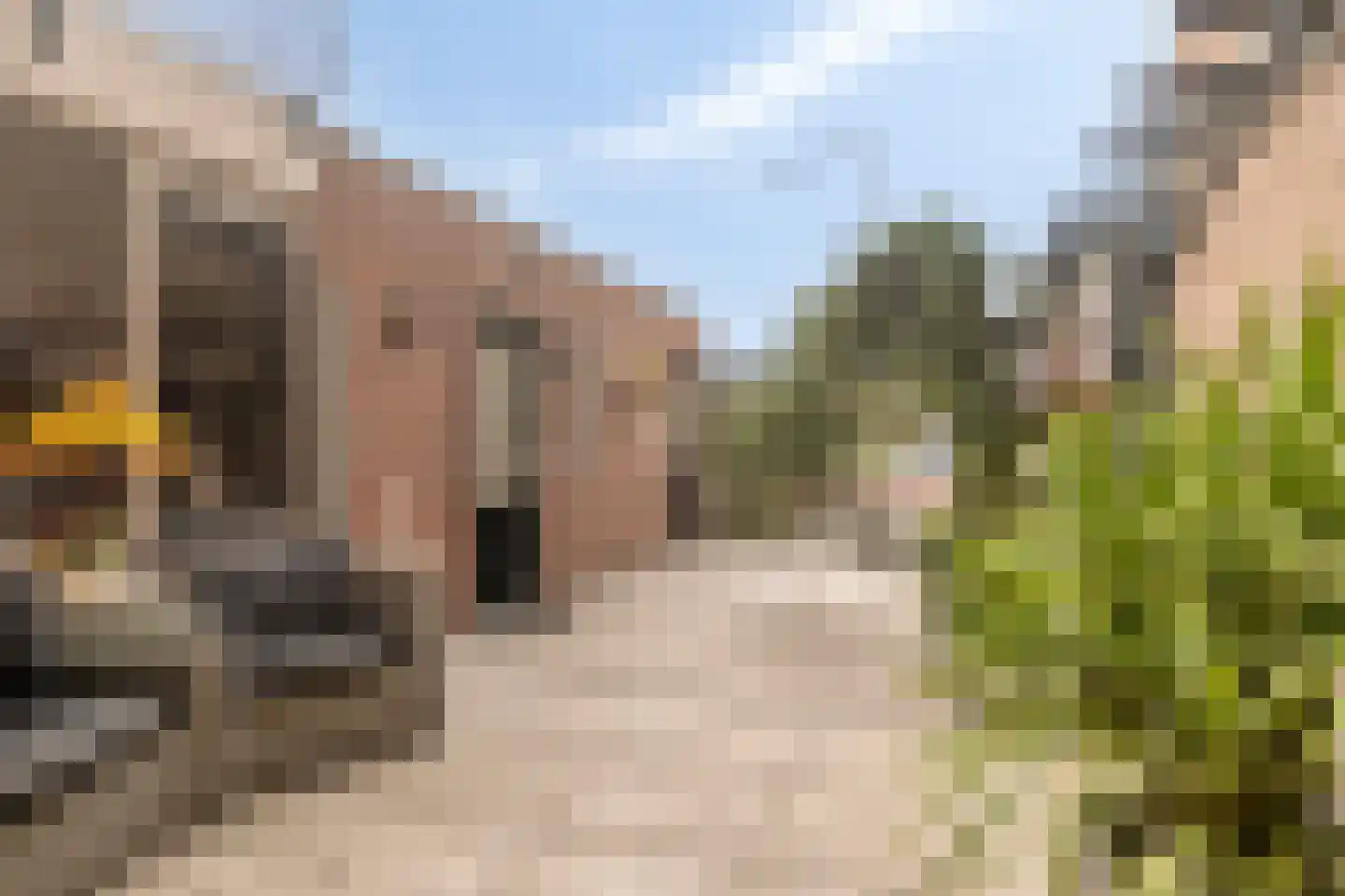 Donata Steurhof 215 Volendam thumbnail 35