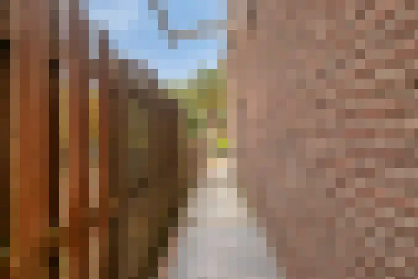 Donata Steurhof 215 Volendam thumbnail 36