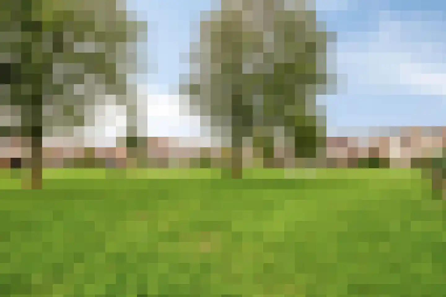 Donata Steurhof 215 Volendam thumbnail 40