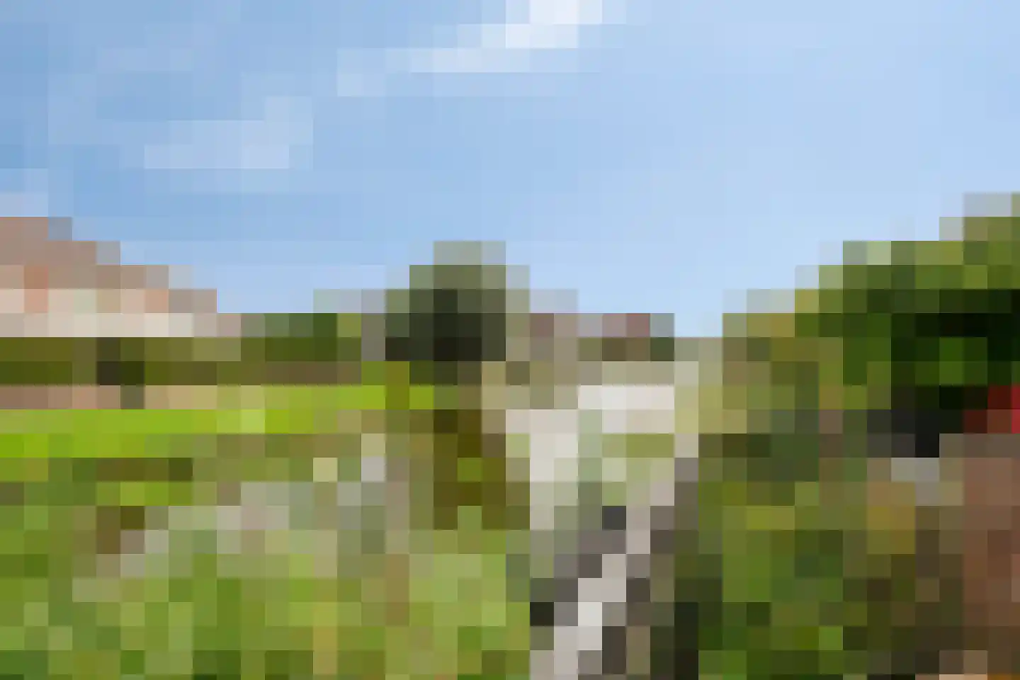 Donata Steurhof 215 Volendam thumbnail 8