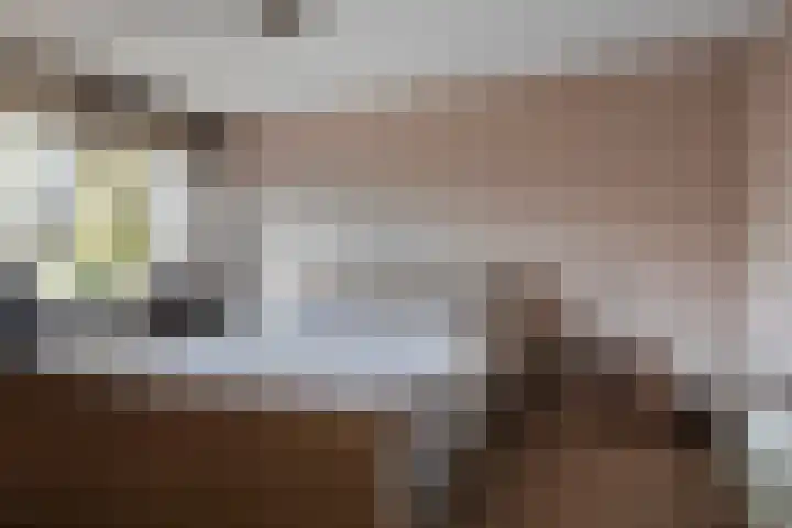 Donata Steurhof 75 Volendam thumbnail 23