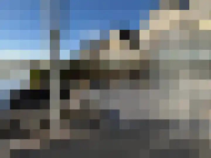 Donata Steurhof 97 Volendam thumbnail 23