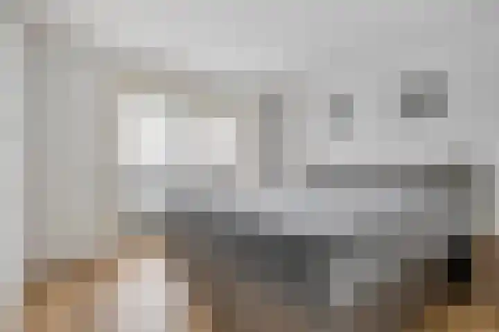 Donata Steurhof 97 Volendam thumbnail 28