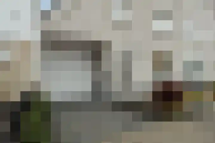 Donata Steurhof 97 Volendam thumbnail 43