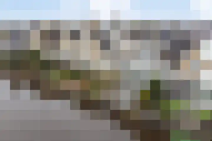 Donata Steurhof 97 Volendam thumbnail 46