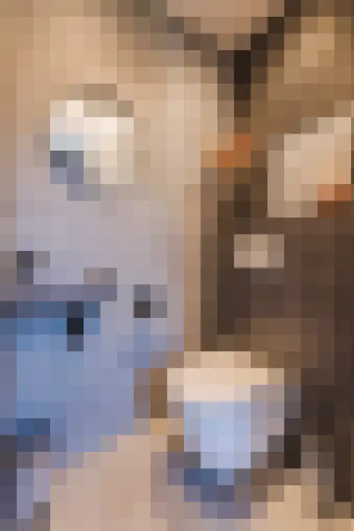 Donatellostraat 124 Lent thumbnail 22