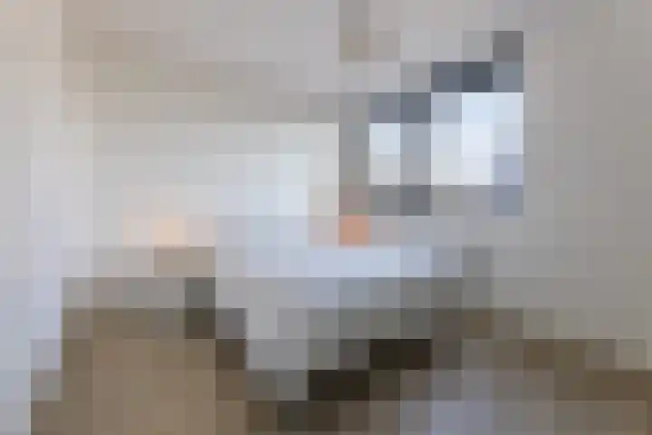 Donatellostraat 124 Lent thumbnail 27
