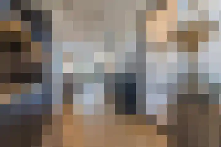 Donatellostraat 124 Lent thumbnail 4