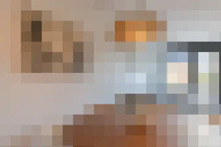 Donatellostraat 124 Lent thumbnail 8