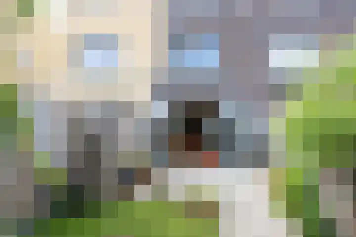Donatellostraat 134 Lent thumbnail 21