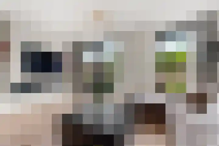 Donatellostraat 32 Lent thumbnail 18