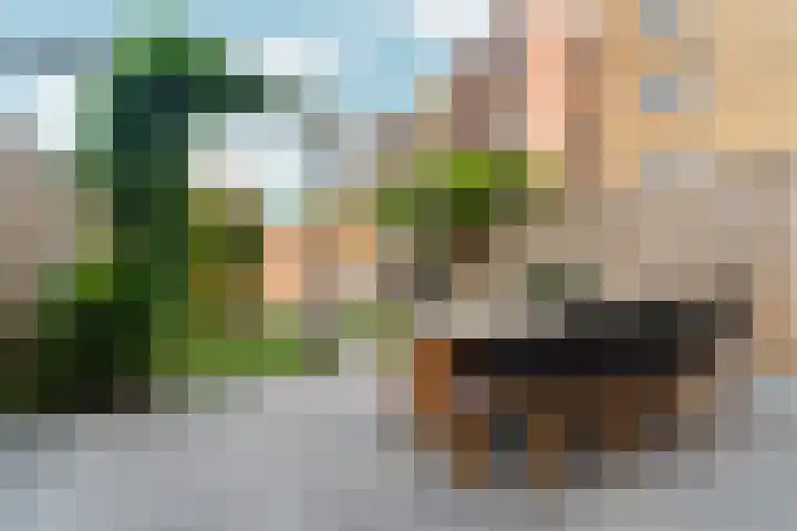 Donatellostraat 32 Lent thumbnail 6