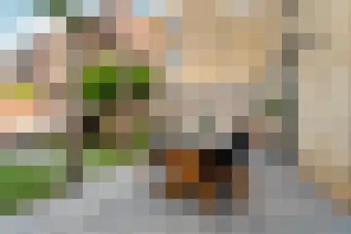 Donatellostraat 32 Lent thumbnail 61