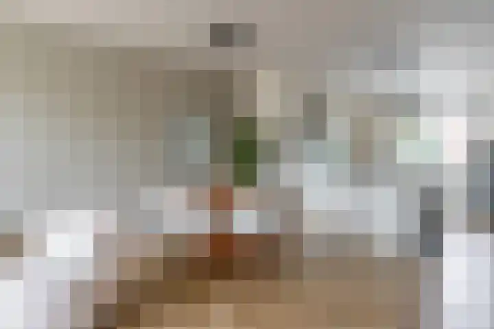 Donatellostraat 48 Lent thumbnail 10