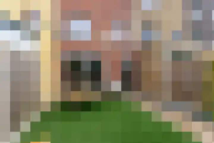 Donatellostraat 48 Lent thumbnail 38