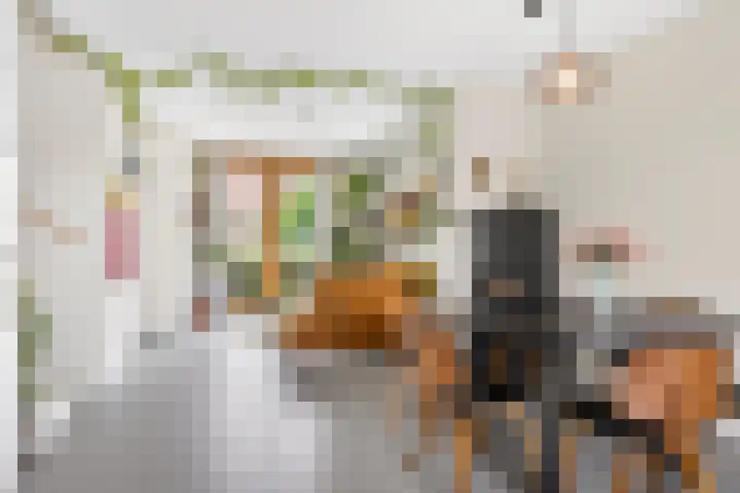 Donatellostraat 64 Lent thumbnail 5