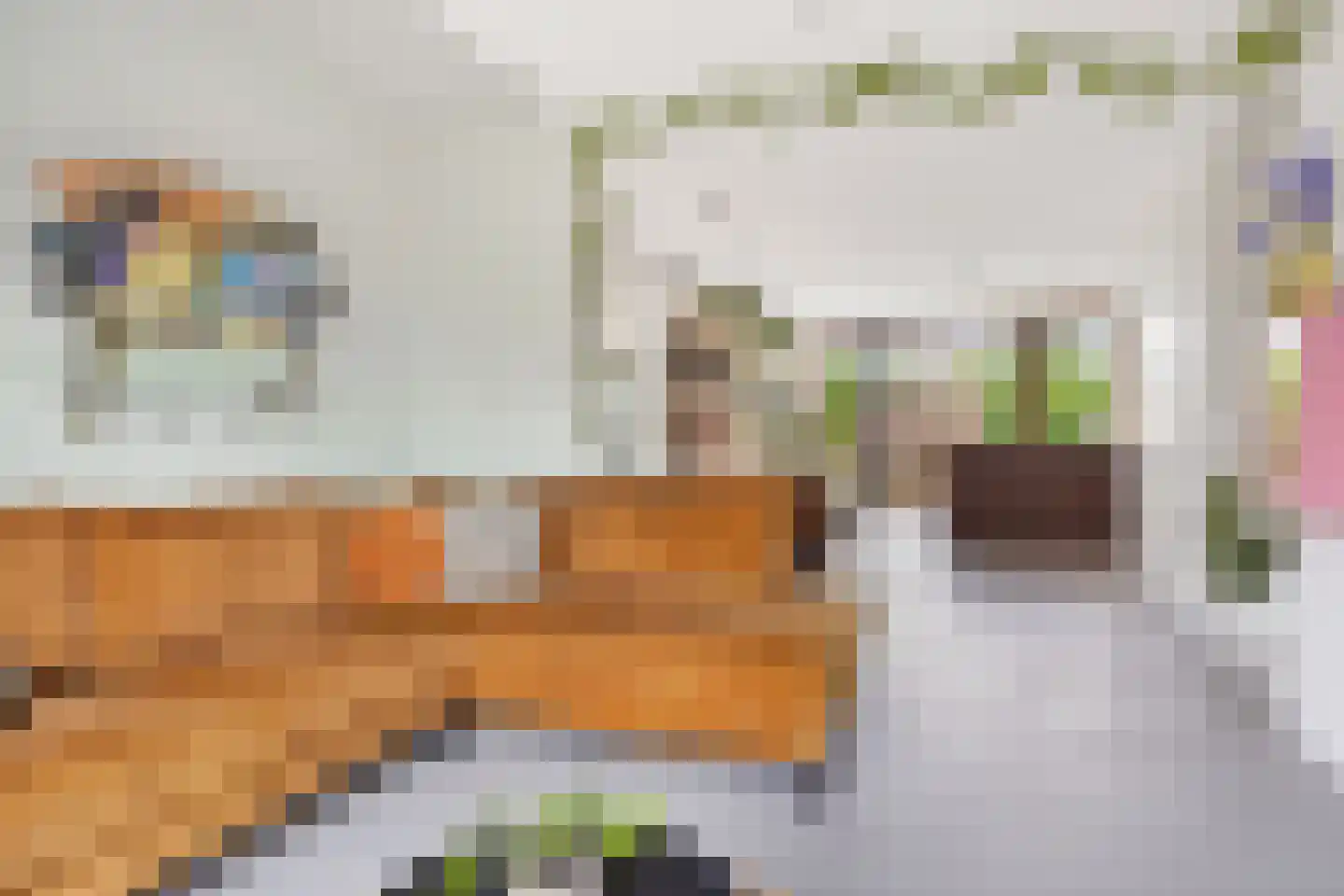 Donatellostraat 64 Lent thumbnail 8