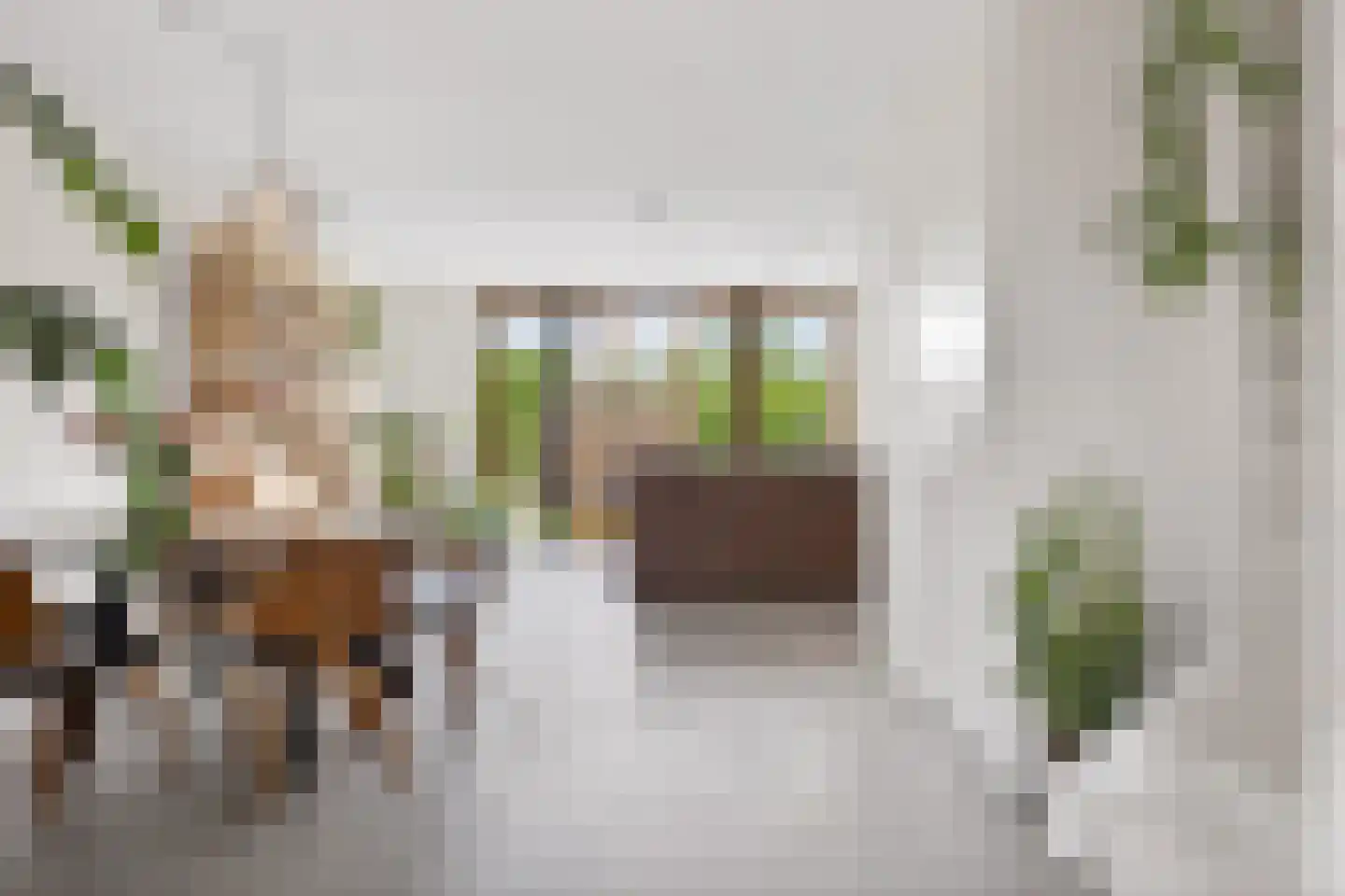 Donatellostraat 64 Lent thumbnail 9