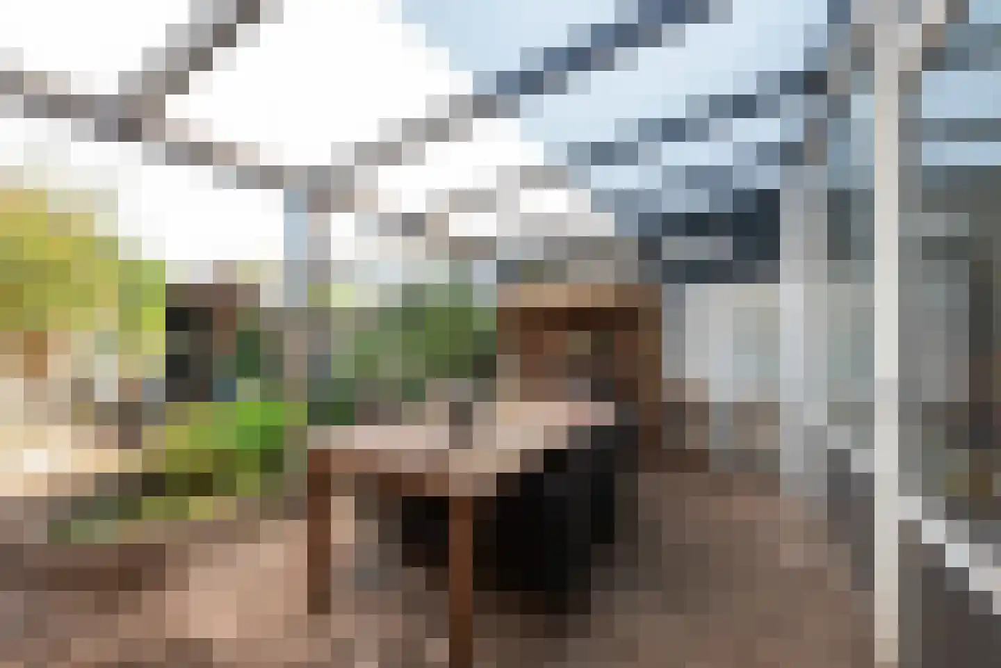 Donatilaan 12 Bilthoven thumbnail 13