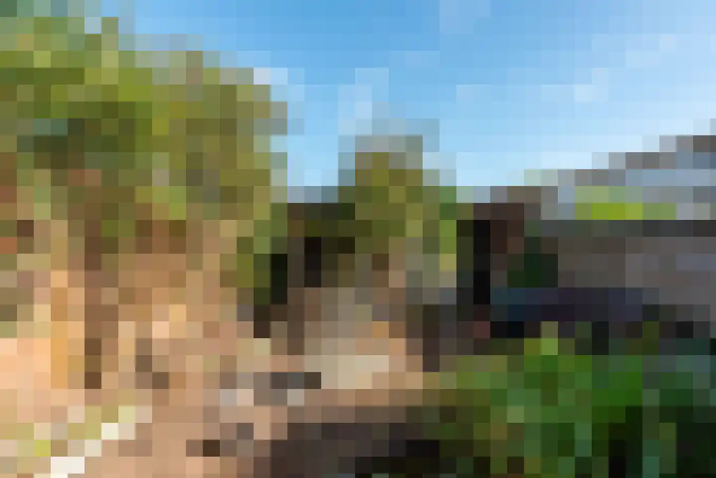 Donatilaan 12 Bilthoven thumbnail 14