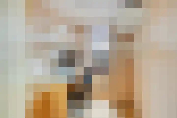 Donatilaan 16 Bilthoven thumbnail 31