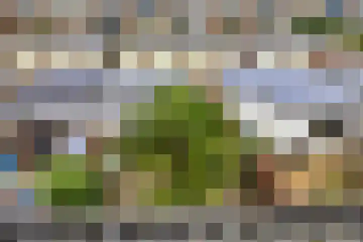 Donatilaan 16 Bilthoven thumbnail 38