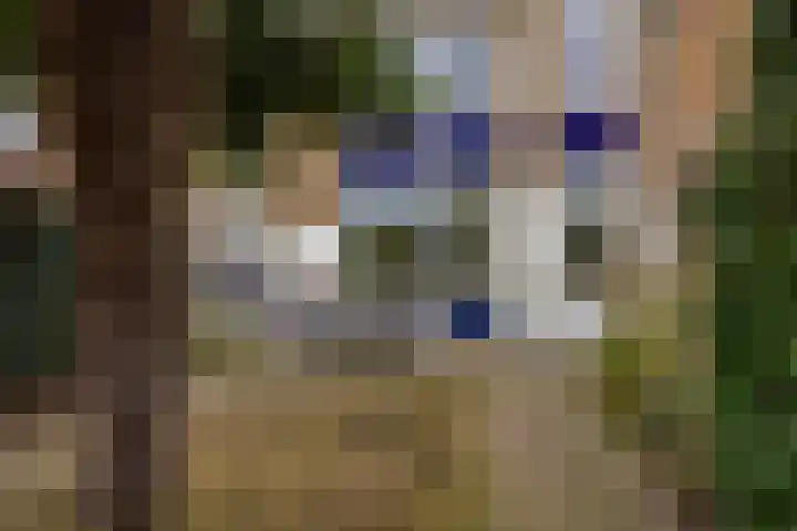 Donatilaan 16 Bilthoven thumbnail 40