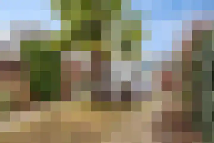 Donatilaan 16 Bilthoven thumbnail 41
