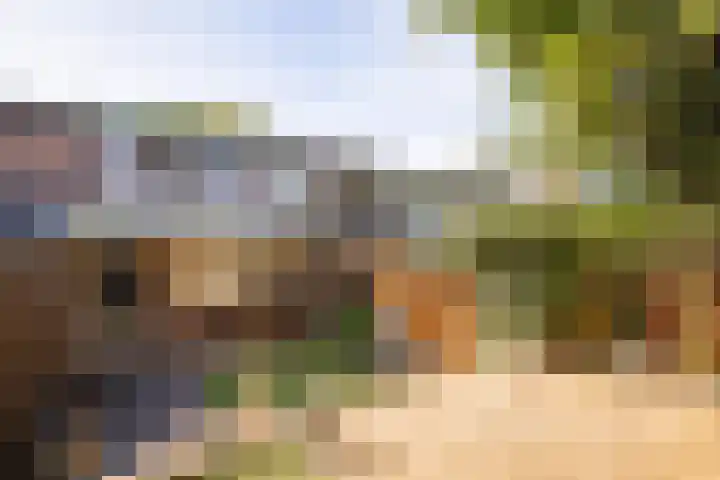 Donatusstraat 150 Nuth thumbnail 19